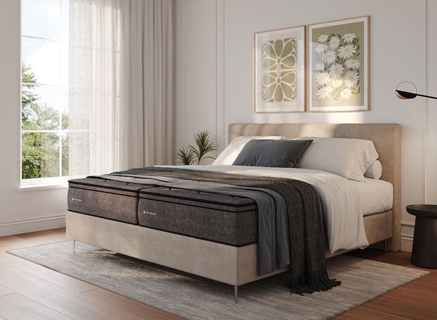 nightline-cadsand-banner Caresse